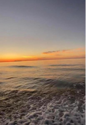 Sea Harmony